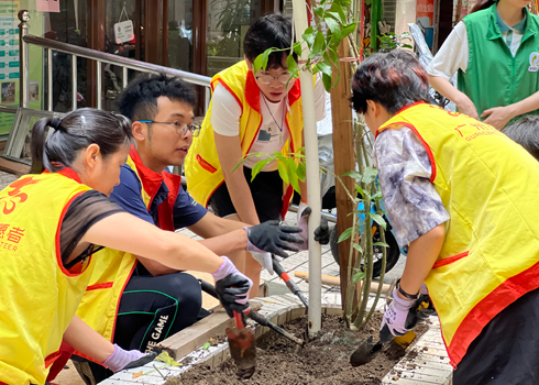 居民和義工一起進行鬆土和種植。